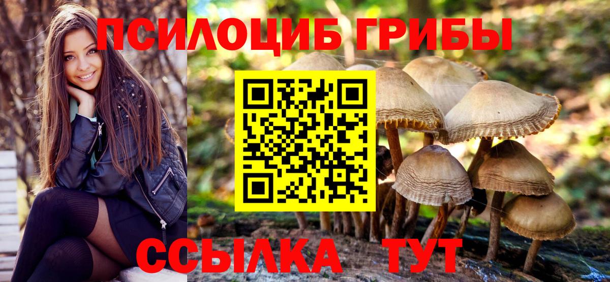 Псилоцибиновые грибы мицелий Кстово